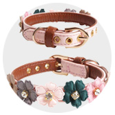 Dog collars and harnesses